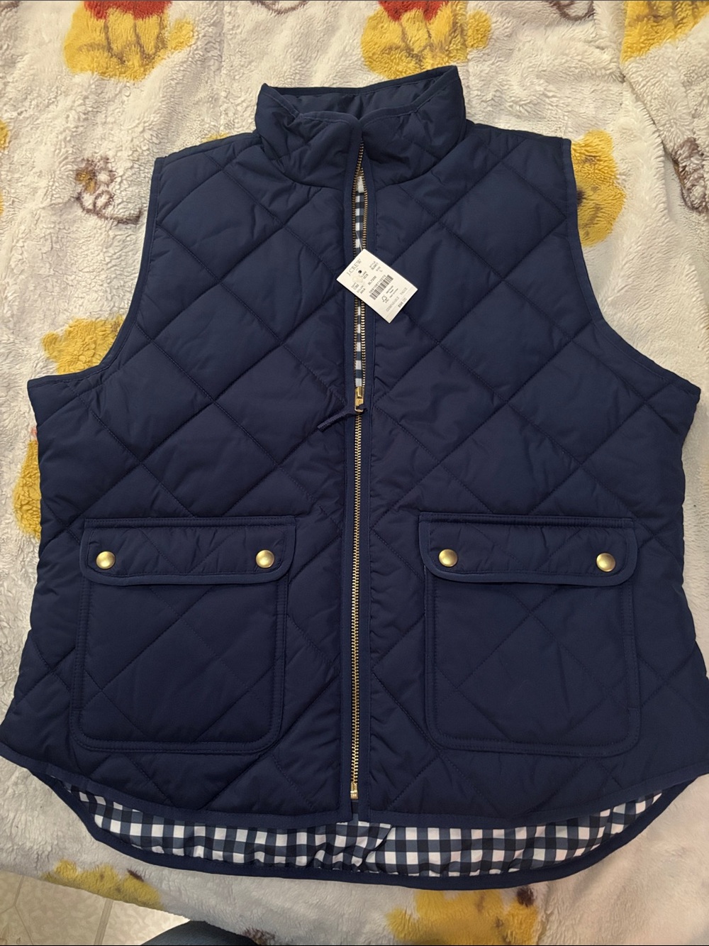 J. Crew Blue and White Gingham Shirt-Lined Vest